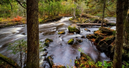 Picture of MICHIGAN-UPPER PENINSULA AUTUMN.