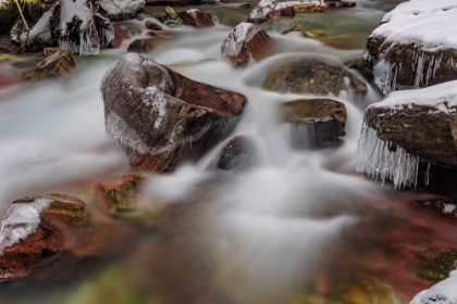 Picture of AVALANCHE CREEK IN WINTER IN GLACIER NATIONAL PARK-MONTANA-USA