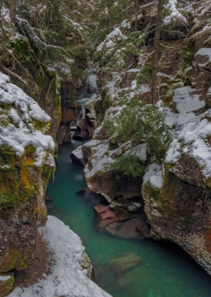 Picture of AVALANCHE CREEK GORGE IN WINTER IN GLACIER NATIONAL PARK-MONTANA-USA