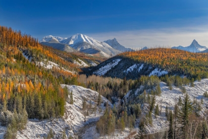 Picture of COAL CREEK WITH CLOUDCROFT PEAKS IN LATE AUTUMN IN GLACIER NATIONAL PARK-MONTANA-USA