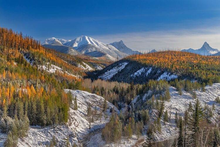 Picture of COAL CREEK WITH CLOUDCROFT PEAKS IN LATE AUTUMN IN GLACIER NATIONAL PARK-MONTANA-USA