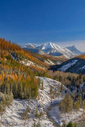 Picture of COAL CREEK WITH CLOUDCROFT PEAKS IN LATE AUTUMN IN GLACIER NATIONAL PARK-MONTANA-USA