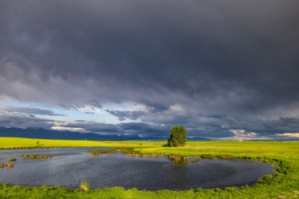 Picture of STORMY CLOUDS OVER WETLANDS HABITAT IN THE FLATHEAD VALLEY-MONTANA-USA