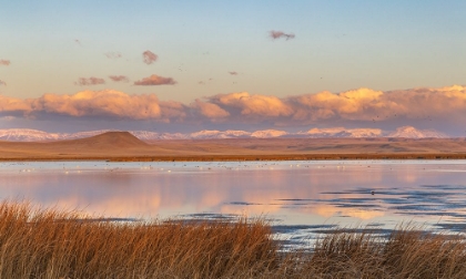 Picture of WETLANDS POND AT SUNRISE AT FREEZEOUT LAKE WILDLIFE MANAGEMENT AREA NEAR CHOTEAU-MONTANA-USA