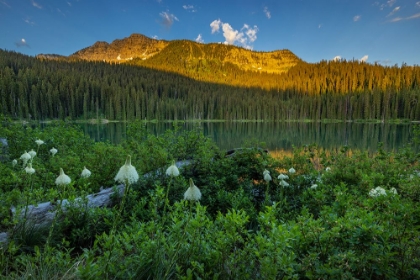 Picture of BEARGRASS AND LITTLE THERRIAULT LAKE AT SUNRISE IN THE KOOTENAI NATIONAL FOREST-MONTANA-USA