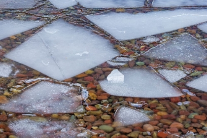 Picture of ICE FORMATIONS ALONG LAKE MCDONALD IN GLACIER NATIONAL PARK-MONTANA-USA