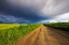 Picture of STORM CLOUDS OVER WEST SPRING CREEK ROAD IN THE FLATHEAD VALLEY-MONTANA-USA