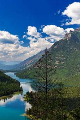 Picture of LOOKING DOWN ON TO UPPER KINTLA LAKE IN GLACIER NATIONAL PARK-MONTANA-USA