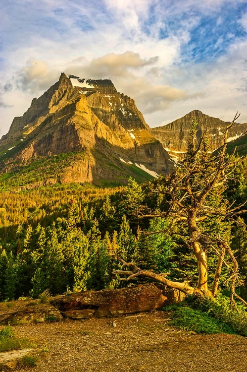 Picture of GOING-TO-THE-SUN ROAD-GLACIER NATIONAL PARK