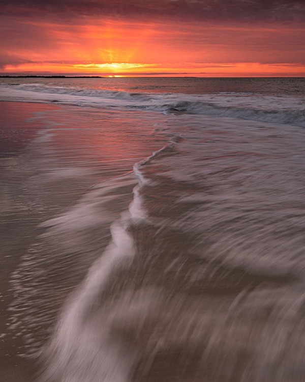 Picture of USA-NEW JERSEY-CAPE MAY NATIONAL SEASHORE. SUNRISE ON SHORELINE.