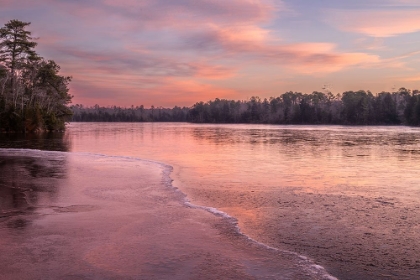 Picture of USA-NEW JERSEY-PINE BARRENS NATIONAL PRESERVE. SUNRISE ON LAKE.