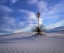 Picture of WHITE SANDS NATIONAL PARK