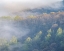 Picture of USA-TENNESSEE-SMOKEY MOUNTAINS NATIONAL PARK. SUNRISE MIST ON MOUNTAIN FOREST.