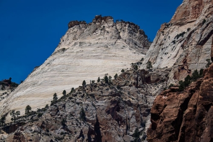 Picture of ICONIC CHECKERBOARD MESA IS CLOSE TO THE MAIN ROAD THROUGH ZION NATIONAL PARK.
