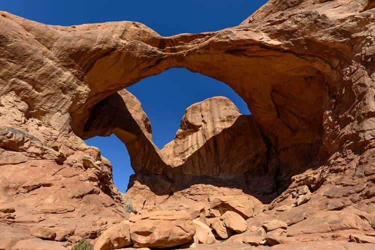 Picture of USA-UTAH. DOUBLE ARCH-ARCHES NATIONAL PARK NEAR MOAB