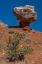 Picture of USA-UTAH. GEOLOGICAL FEATURE-CAPITOL REEF NATIONAL PARK