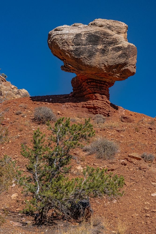 Picture of USA-UTAH. GEOLOGICAL FEATURE-CAPITOL REEF NATIONAL PARK