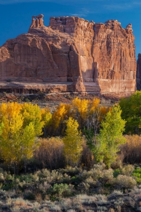 Picture of USA-UTAH. AUTUMN COTTONWOODS AT SUNSET-ARCHES NATIONAL PARK