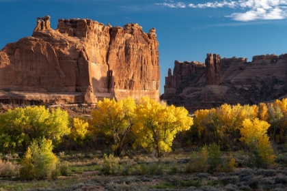 Picture of USA-UTAH. AUTUMN COTTONWOODS AND THE THREE GOSSIPS AT SUNSET-ARCHES NATIONAL PARK