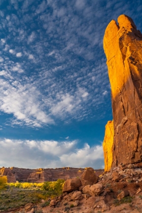 Picture of USA-UTAH. CLIFFS-CLOUDS-AND AUTUMN COTTONWOODS AT SUNSET-ARCHES NATIONAL PARK