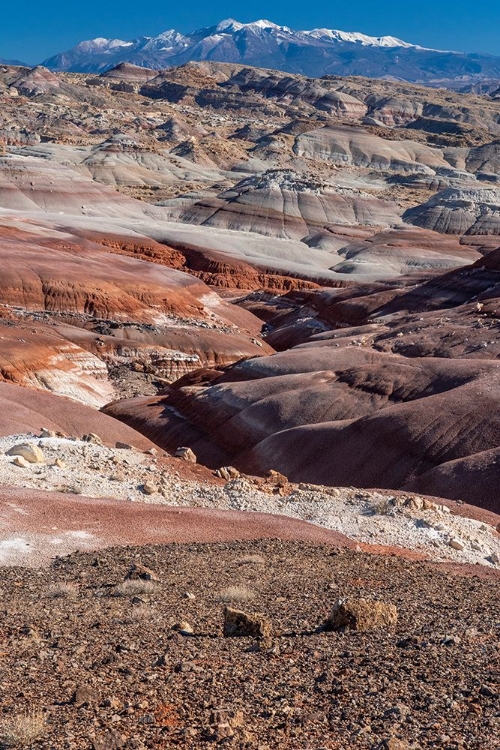 Picture of USA-UTAH. BENTONITE HILLS-CAPITOL REEF NATIONAL PARK