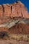 Picture of USA-UTAH. SANDSTONE GEOLOGICAL FEATURES CAPITOL REEF NATIONAL PARK