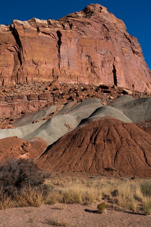 Picture of USA-UTAH. SANDSTONE GEOLOGICAL FEATURES CAPITOL REEF NATIONAL PARK