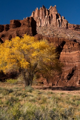 Picture of USA-UTAH. THE CASTLE-GEOLOGICAL FEATURES AND AUTUMN FOLIAGE-CAPITOL REEF NATIONAL PARK