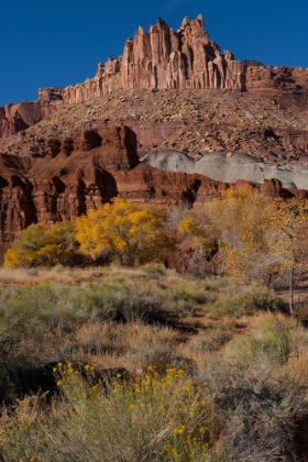 Picture of USA-UTAH. THE CASTLE-GEOLOGICAL FEATURES AND AUTUMN FOLIAGE-CAPITOL REEF NATIONAL PARK