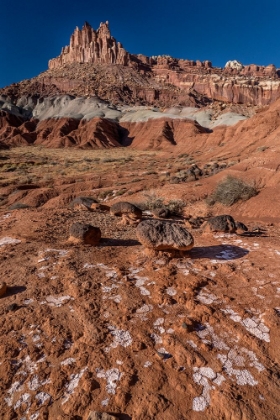 Picture of USA-UTAH. SANDSTONE GEOLOGICAL FEATURES AND AUTUMN FOLIAGE-CAPITOL REEF NATIONAL PARK