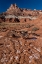 Picture of USA-UTAH. SANDSTONE GEOLOGICAL FEATURES AND AUTUMN FOLIAGE-CAPITOL REEF NATIONAL PARK