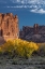 Picture of USA-UTAH. AUTUMN COTTONWOODS AND THE THREE GOSSIPS AT SUNSET-ARCHES NATIONAL PARK