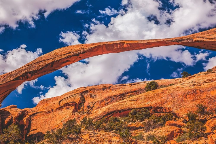 Picture of DEVILS GARDEN-ARCHES NATIONAL PARK-MOAB-UTAH-USA.