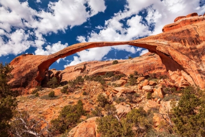 Picture of ARCHES NATIONAL PARK-MOAB-UTAH-USA.