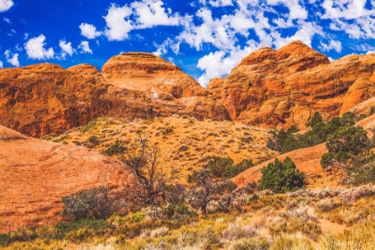 Picture of DEVILS GARDEN-ARCHES NATIONAL PARK-MOAB-UTAH-USA.