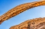 Picture of DEVILS GARDEN ARCHES NATIONAL PARK-MOAB-UTAH-USA.