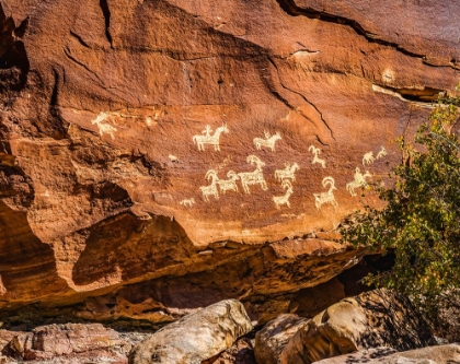 Picture of UTE INDIAN PETROGLYPHS-ARCHES NATIONAL PARK-MOAB-UTAH-USA.GLYPHS ARE OF SHEEP-HORSES AND DOGS