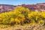 Picture of AUTUMN LEAVES-ARCHES NATIONAL PARK-MOAB-UTAH-USA.