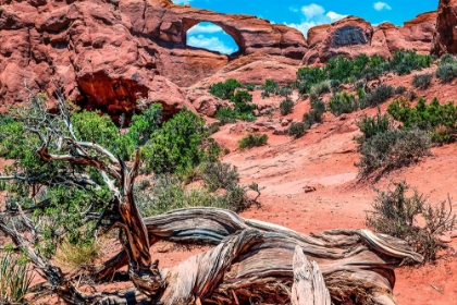 Picture of SKYLINE ARCH-ARCHES NATIONAL PARK-MOAB-UTAH-USA.