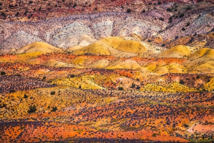 Picture of RED FIERY FURNACE-ARCHES NATIONAL PARK-MOAB-UTAH-USA.