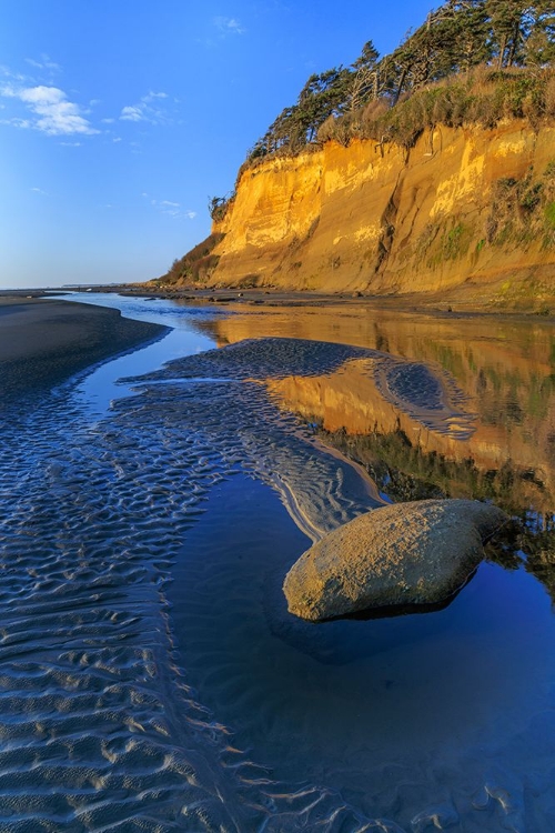 Picture of USA-WASHINGTON-COPALIS BEACH-IRON SPRINGS. PATTERNS IN BEACH SAND AT SUNSET.