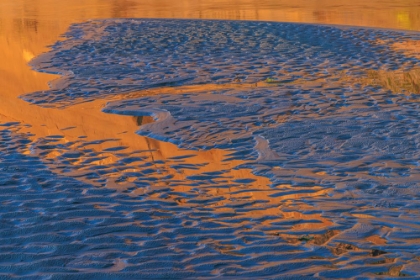 Picture of USA-WASHINGTON-COPALIS BEACH-IRON SPRINGS. PATTERNS IN BEACH SAND AT SUNSET.