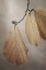 Picture of USA-WASHINGTON-SEABECK. CLOSE-UP OF HAZELNUT LEAVES.