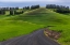 Picture of FILAN GRAVEL ROAD IN ROLLING HILLS OF WHEAT NEAR COLFAX-WASHINGTON STATE-USA