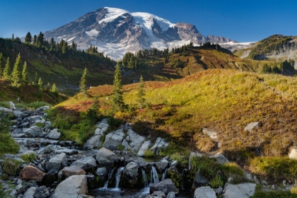 Picture of MYRTLE FALLS AT PARADISE MEADOW IN MOUNT RAINIER NATIONAL PARK-WASHINGTON STATE-USA