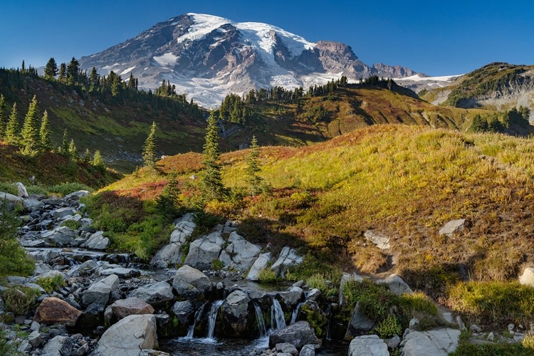 Picture of MYRTLE FALLS AT PARADISE MEADOW IN MOUNT RAINIER NATIONAL PARK-WASHINGTON STATE-USA