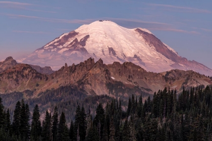 Picture of MOUNT RAINIER AT SUNRISE IN MOUNT RAINIER NATIONAL PARK-WASHINGTON STATE-USA