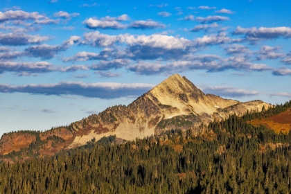 Picture of PYRAMID PEAK IN MOUNT RAINIER NATIONAL PARK-WASHINGTON STATE-USA