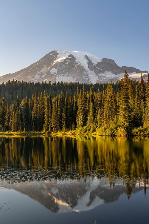Picture of APTLY NAMED REFLECTION LAKE IN MOUNT RAINIER NATIONAL PARK-WASHINGTON STATE-USA