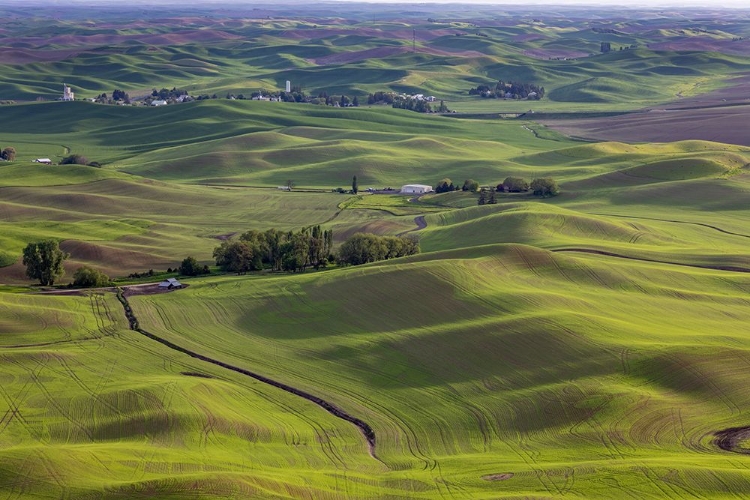 Picture of SMALL TOWN OF STEPTOE FROM STEPTOE BUTTE NEAR COLFAX-WASHINGTON STATE-USA